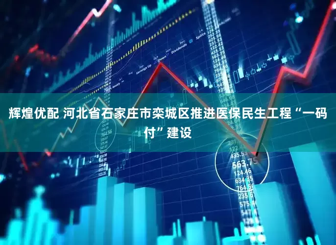 辉煌优配 河北省石家庄市栾城区推进医保民生工程“一码付”建设