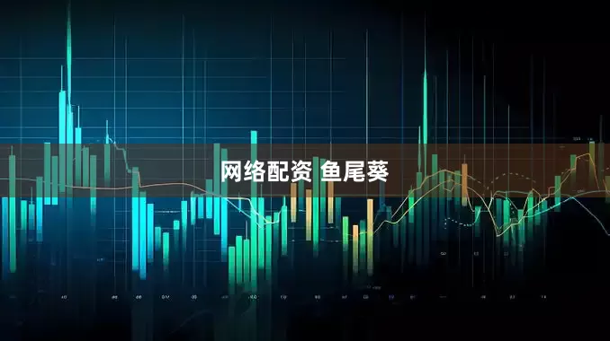 网络配资 鱼尾葵