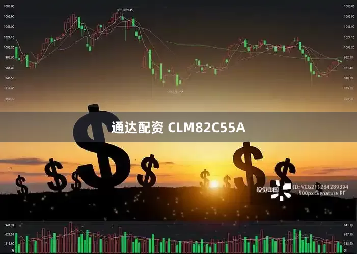 通达配资 CLM82C55A