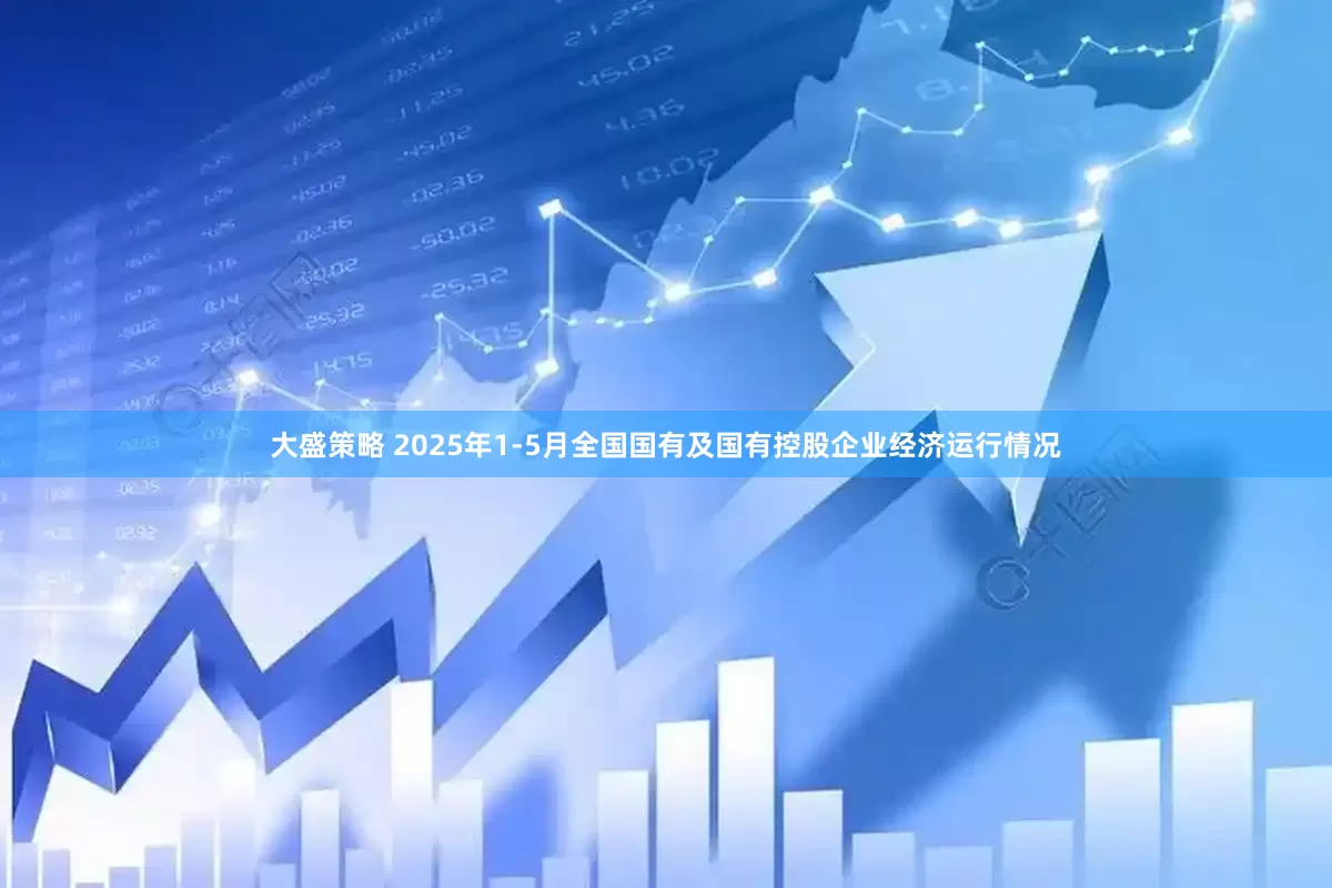 大盛策略 2025年1-5月全国国有及国有控股企业经济运行情况