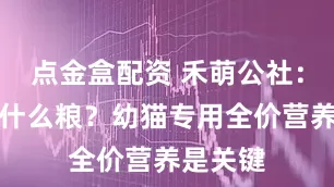 点金盒配资 禾萌公社：幼猫吃什么粮？幼猫专用全价营养是关键